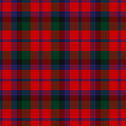 DB/10 R34 DB20 K20 DG32 R34 DB/10 tartan Tartan detail