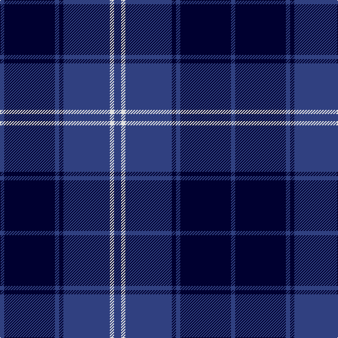 B/6 DB72 B6 DB6 B66 LN6 B/10 tartan Tartan detail
