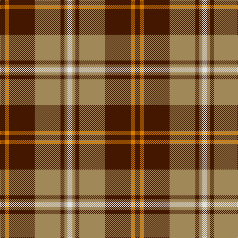 DR/10 O8 DR52 LT52 DR8 LT6 LN/10 tartan Tartan detail