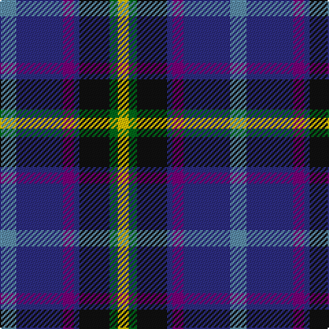 B/12 DB34 P8 DB4 K22 G6 Y/8 tartan Tartan detail