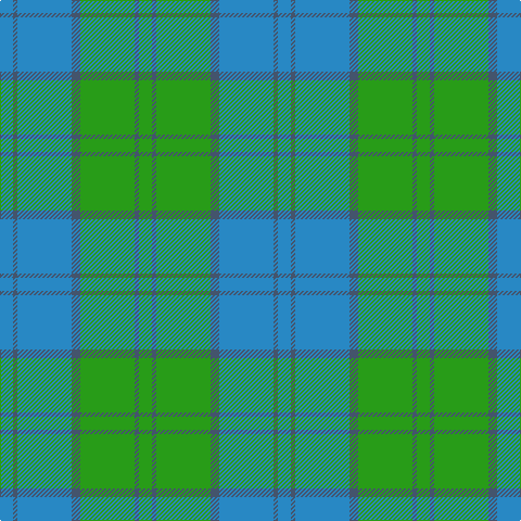 B/12 Na4 B50 Na8 G50 N4 G/12 tartan Tartan detail