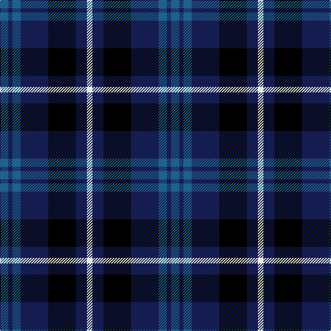 B/12 DB6 B12 DB40 K40 DB16 LN/8 tartan Tartan detail