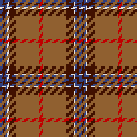 B/12 DR6 B6 LN6 DR27 LT81 R/12 tartan Tartan detail