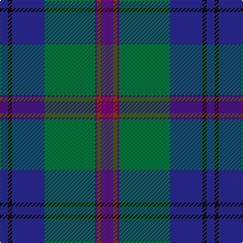 DB/8 K4 DB32 G50 P2 T4 P/12 tartan Tartan detail