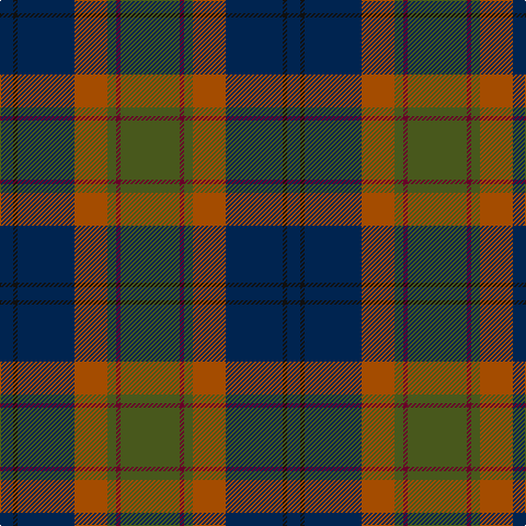 DB/12 K4 DB52 DO30 G8 DR4 G/54 tartan Tartan detail