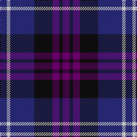 DB/12 W6 DB42 K32 P12 K6 P/12 tartan Tartan detail
