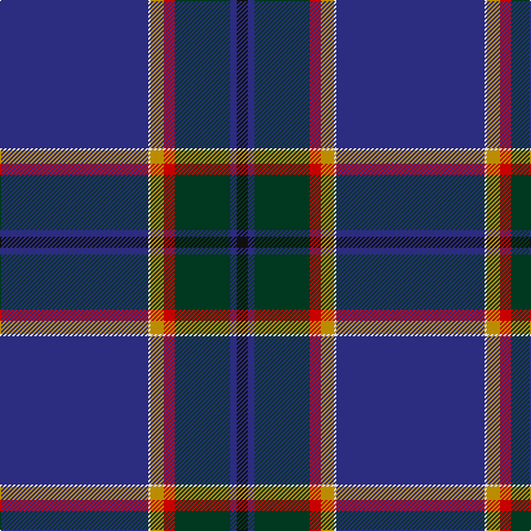 DB/134 LN2 DY12 R10 DG50 DB6 K/10 tartan Tartan detail