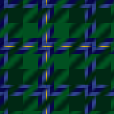 DB/16 B16 DG64 G64 DB16 B16 Y/4 tartan Tartan detail