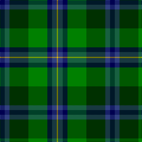 DB/16 B16 DG64 G64 DB16 B16 Y/4 tartan Tartan detail