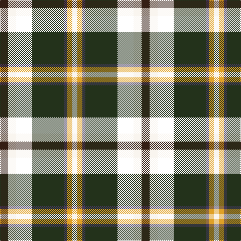 Ka/16 W16 T32 K64 N6 Y10 W/10 tartan Tartan detail
