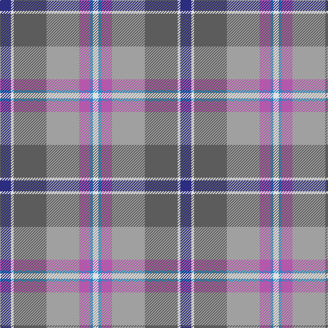 DB/16 LN4 N48 Na48 P16 B4 LN/8 tartan Tartan detail
