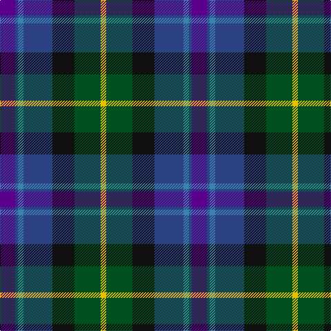 P/22 B4 Ba8 B42 K32 G38 Y/8 tartan Tartan detail