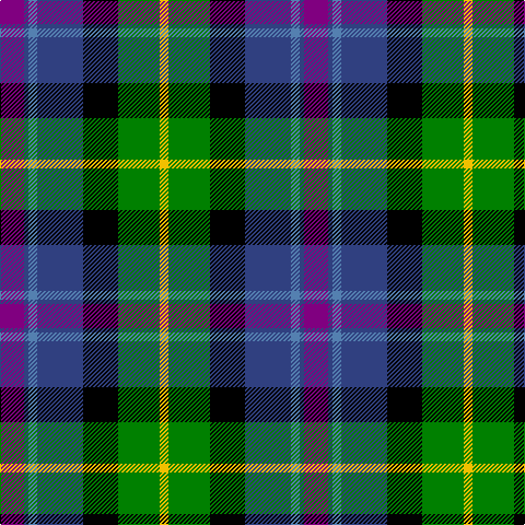 P/22 B4 Ba8 B42 K32 G38 Y/8 tartan Tartan detail