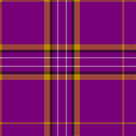 DY/6 P150 DY20 K10 P16 LN4 P/26 tartan Tartan detail