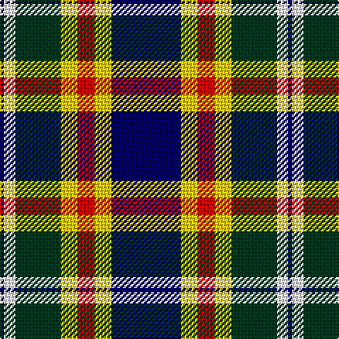 DB/3 W8 DG32 Y12 R12 Y12 DB/49 tartan Tartan detail