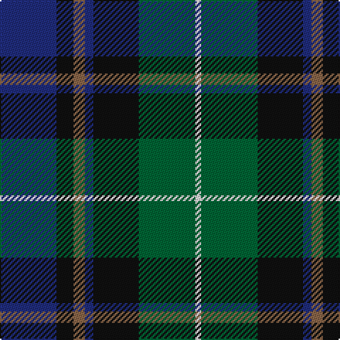 DB/40 K12 LT8 DB6 K32 G40 LN/4 tartan Tartan detail