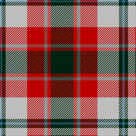 B/4 DG6 LN38 R30 N6 R6 DG/40 tartan Tartan detail