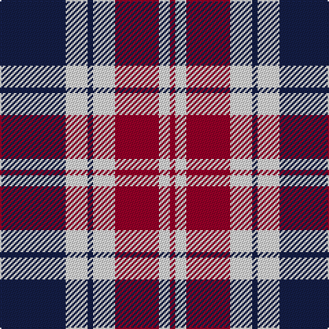 DB/48 LN16 DB4 LN16 DR32 LN8 DR/4 tartan Tartan detail