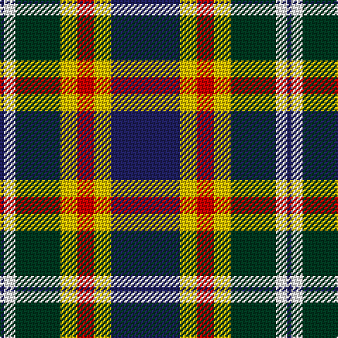 DB/3 W8 DG32 Y12 R12 Y12 DB/49 tartan Tartan detail