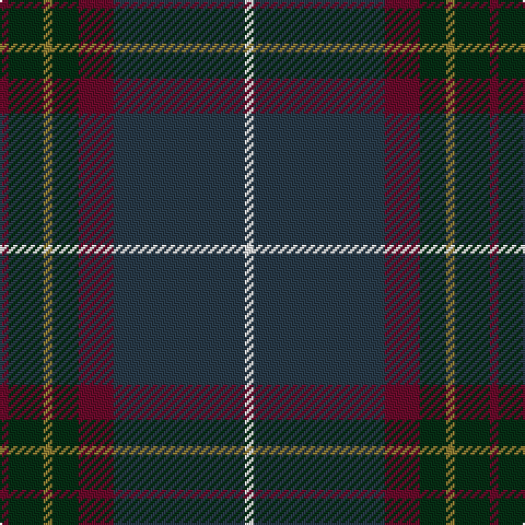 DR/4 DG16 LT4 DG12 DR16 DN60 W/4 tartan Tartan detail