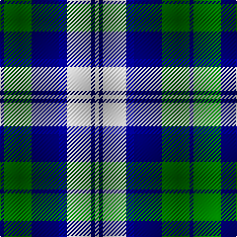 DB/4 G28 DB28 DBa8 W24 DB4 W/4 tartan Tartan detail