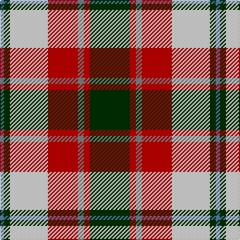 B/4 DG6 LN38 R30 N6 R6 DG/40 tartan Tartan detail
