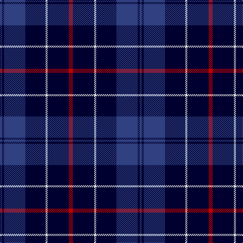 B/4 DB4 B42 DB40 LN4 DB42 R/8 tartan Tartan detail