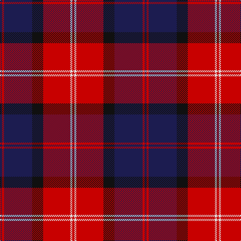 DB/4 R4 DB56 K22 R54 LN4 R/4 tartan Tartan detail