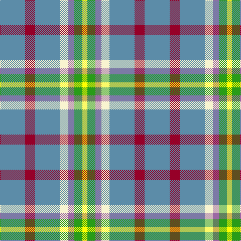 B/50 DR20 B50 LY16 LP12 G16 Y/10 tartan Tartan detail
