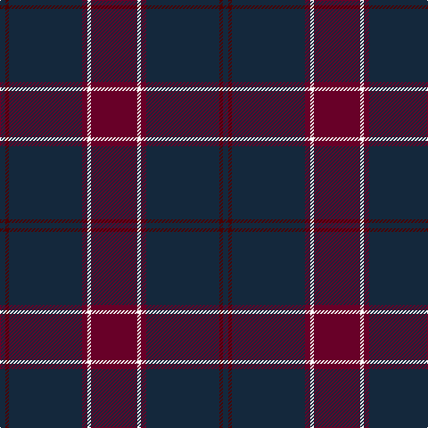 DN/6 DR4 DN52 DN30 DRa6 W4 DRa/52 tartan Tartan detail