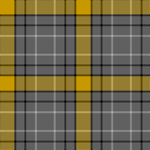 DY/46 K6 Na26 K6 Na28 N6 Na/54 tartan Tartan detail