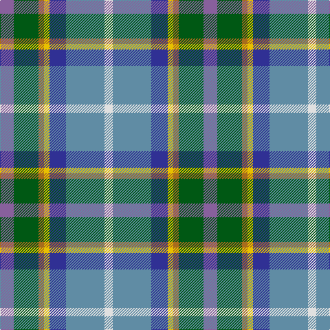LN/12 B56 DB24 Y8 LT8 G36 LP/20 tartan Tartan detail
