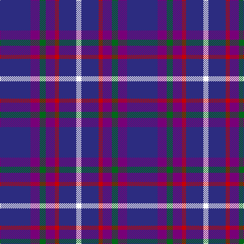 DB/60 P18 G12 P18 R8 DB34 W/10 tartan Tartan detail