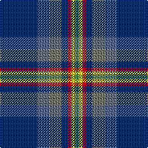 DB/60 B20 N20 DB10 DR6 LG6 G/6 tartan Tartan detail
