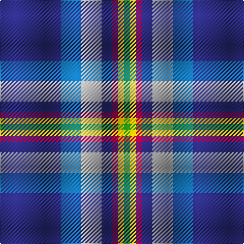 DB/60 B20 N20 DB10 R6 Y6 G/6 tartan Tartan detail