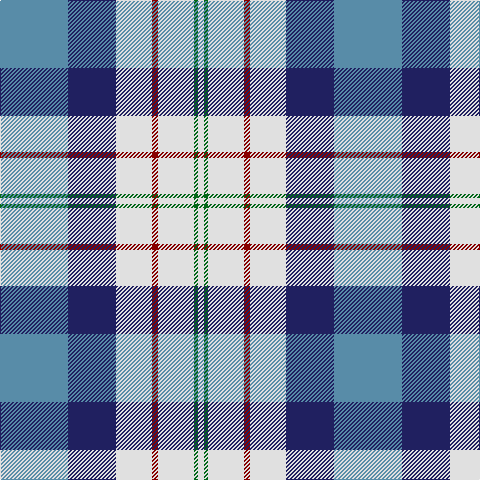 B/68 DB48 LN36 DR6 LN36 G4 LN/6 tartan Tartan detail