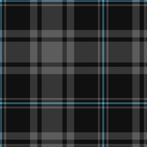 B/6 K8 N6 K78 N24 K14 N/68 tartan Tartan detail