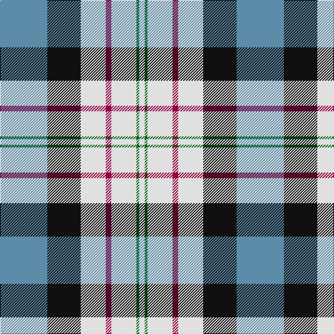 B/68 K48 LN36 R8 LN36 G4 LN/8 tartan Tartan detail