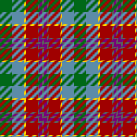 G/42 B42 Y6 DR42 N6 P10 N/6 tartan Tartan detail
