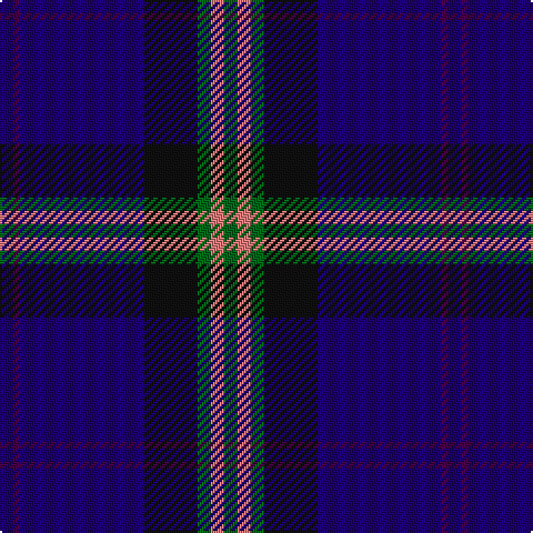 DB/6 DP3 DB56 K24 G6 LR6 G/6 tartan Tartan detail