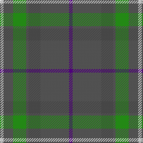 LN/6 Na16 G22 Na4 N20 Na48 P/6 tartan Tartan detail