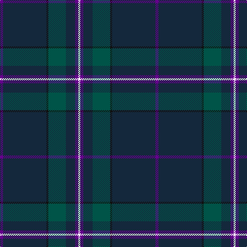 P/6 DN84 K4 G34 DN18 P6 W/4 tartan Tartan detail