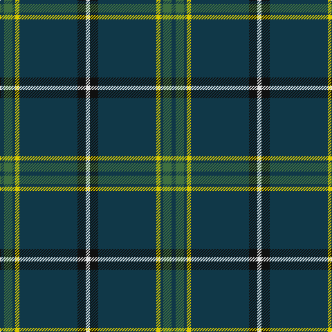 DN/6 G12 DN4 Y6 DN84 K12 LN/6 tartan Tartan detail