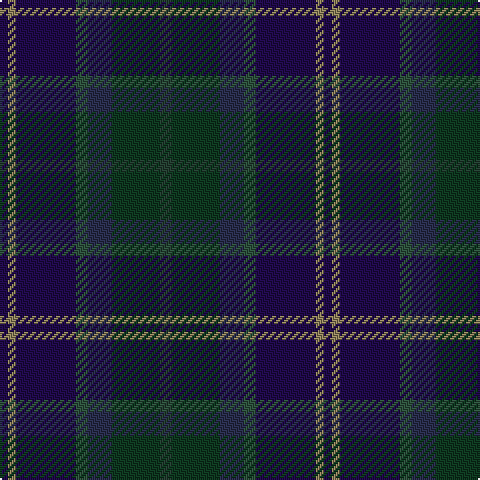 DBa/4 LT4 DBa30 N6 DB12 DG24 DN/6 tartan Tartan detail