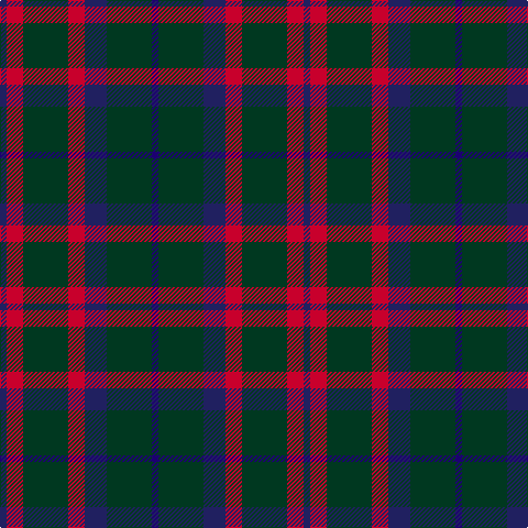 DB/6 R15 DG41 R15 DB20 DG41 DBa/6 tartan Tartan detail