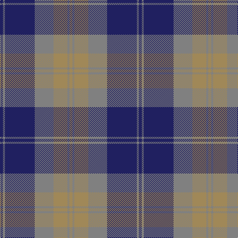 DB/6 N4 DB60 N38 LT28 N4 LT/6 tartan Tartan detail