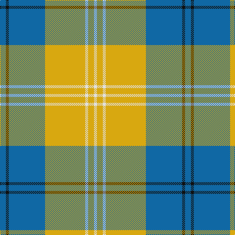 B/12 K6 B74 Y82 LN6 Y12 LN/6 tartan Tartan detail