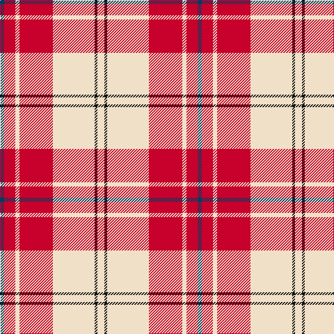 DB/6 R16 W6 R48 W60 K4 W/10 tartan Tartan detail