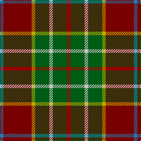 B/6 DR48 Y6 G24 W6 G24 R/6 tartan Tartan detail