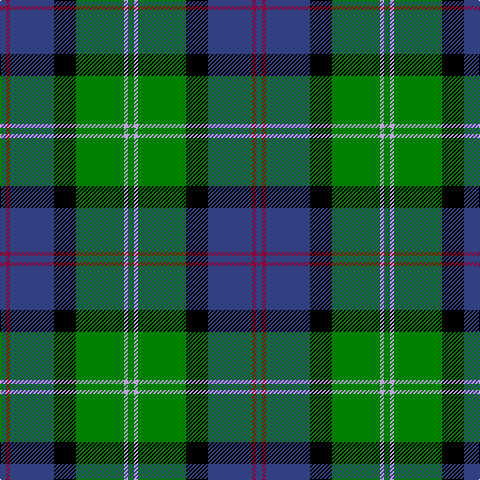 B/6 DR4 B44 K22 G48 LP4 G/6 tartan Tartan detail